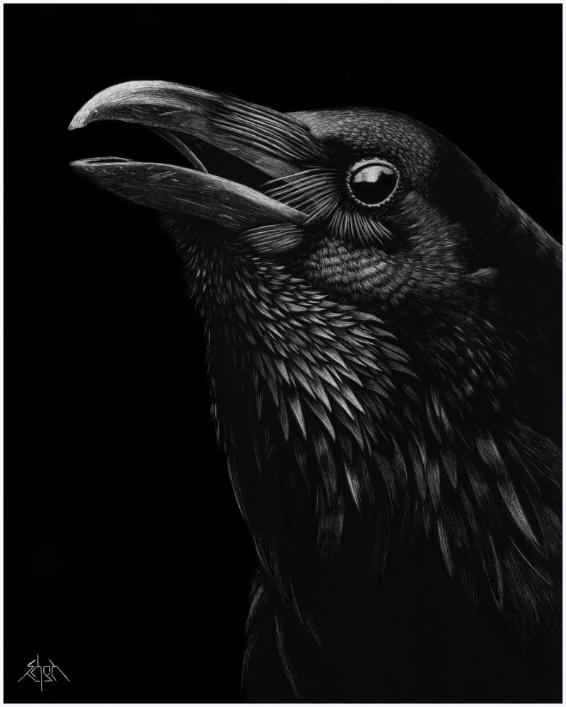 Crow
